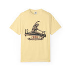 250 Years of Independence T-shirt