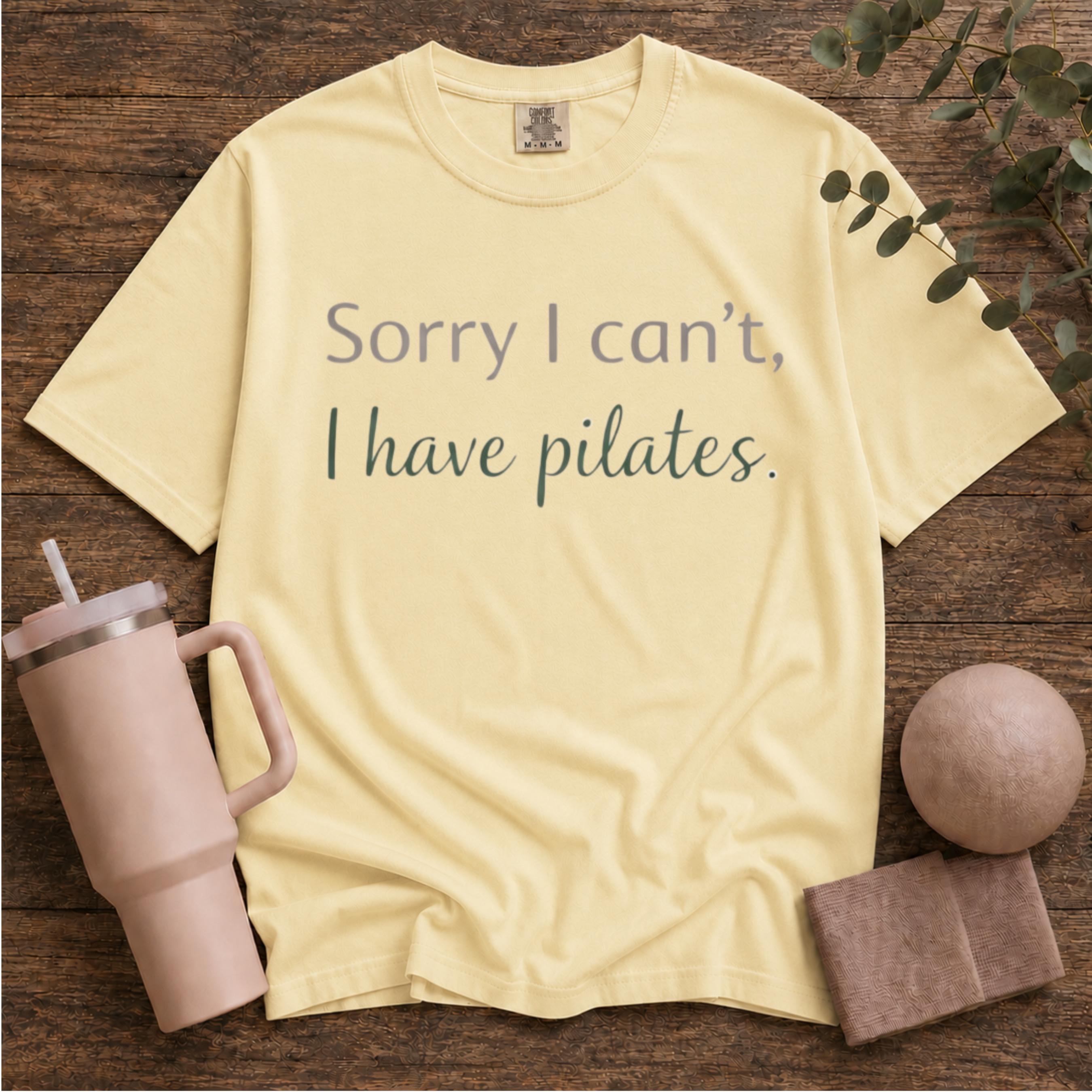Sorry I Can't