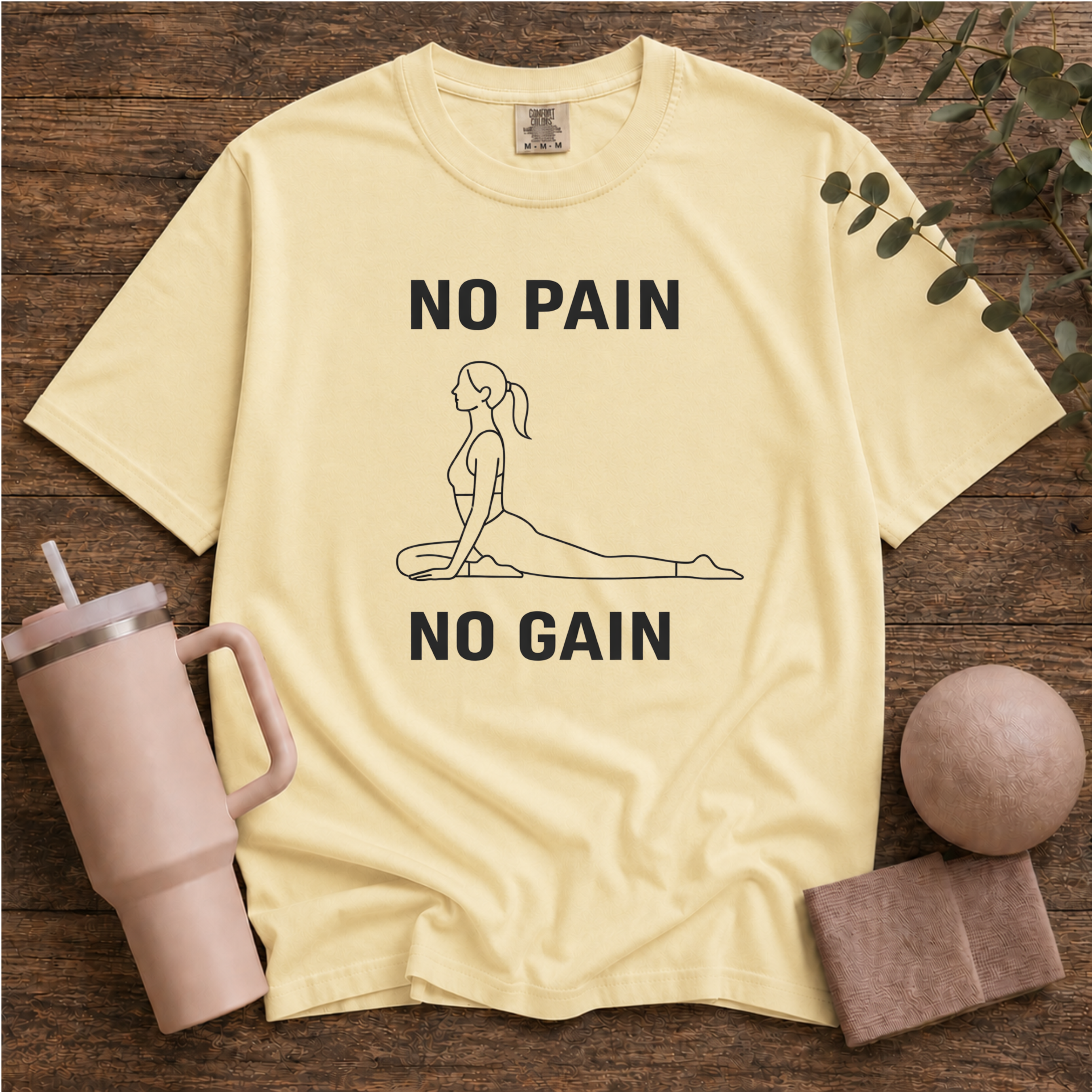 No Pain No Gain