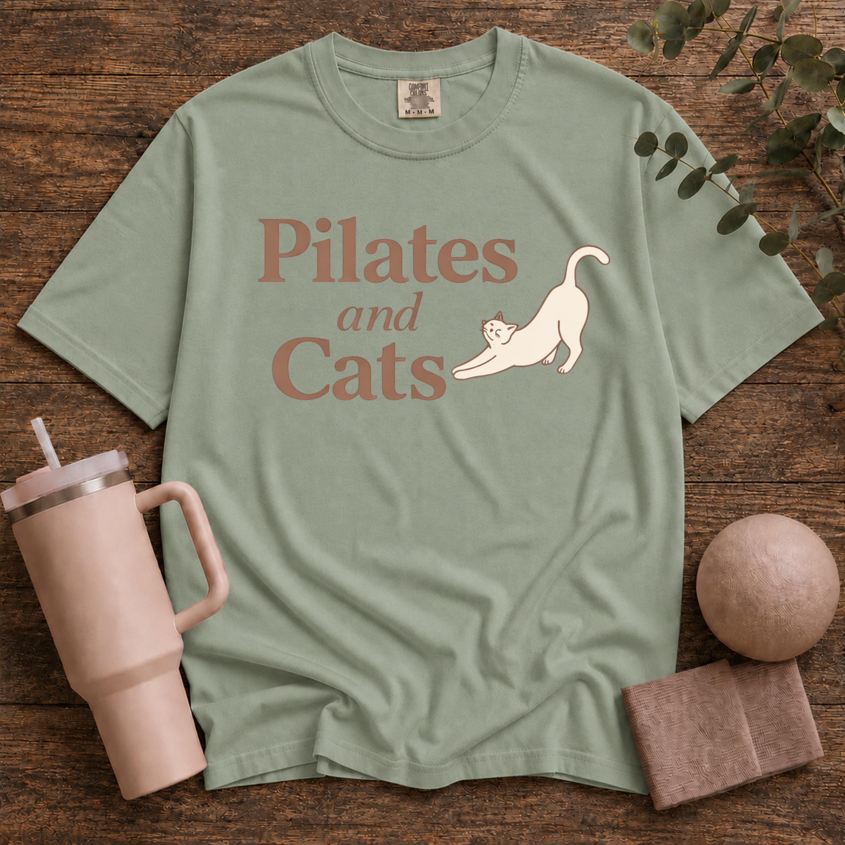 Pilates And Cats