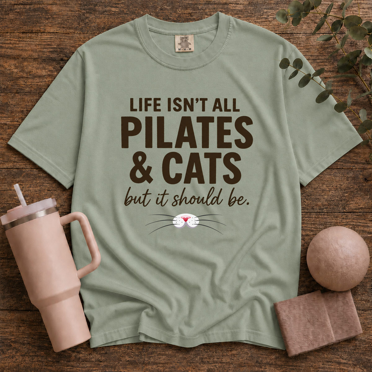 Pilates And Cats