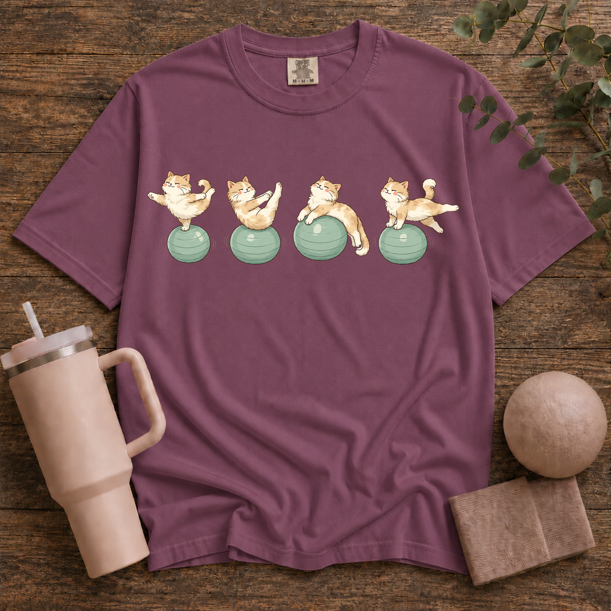 Pilates Ball and Cats