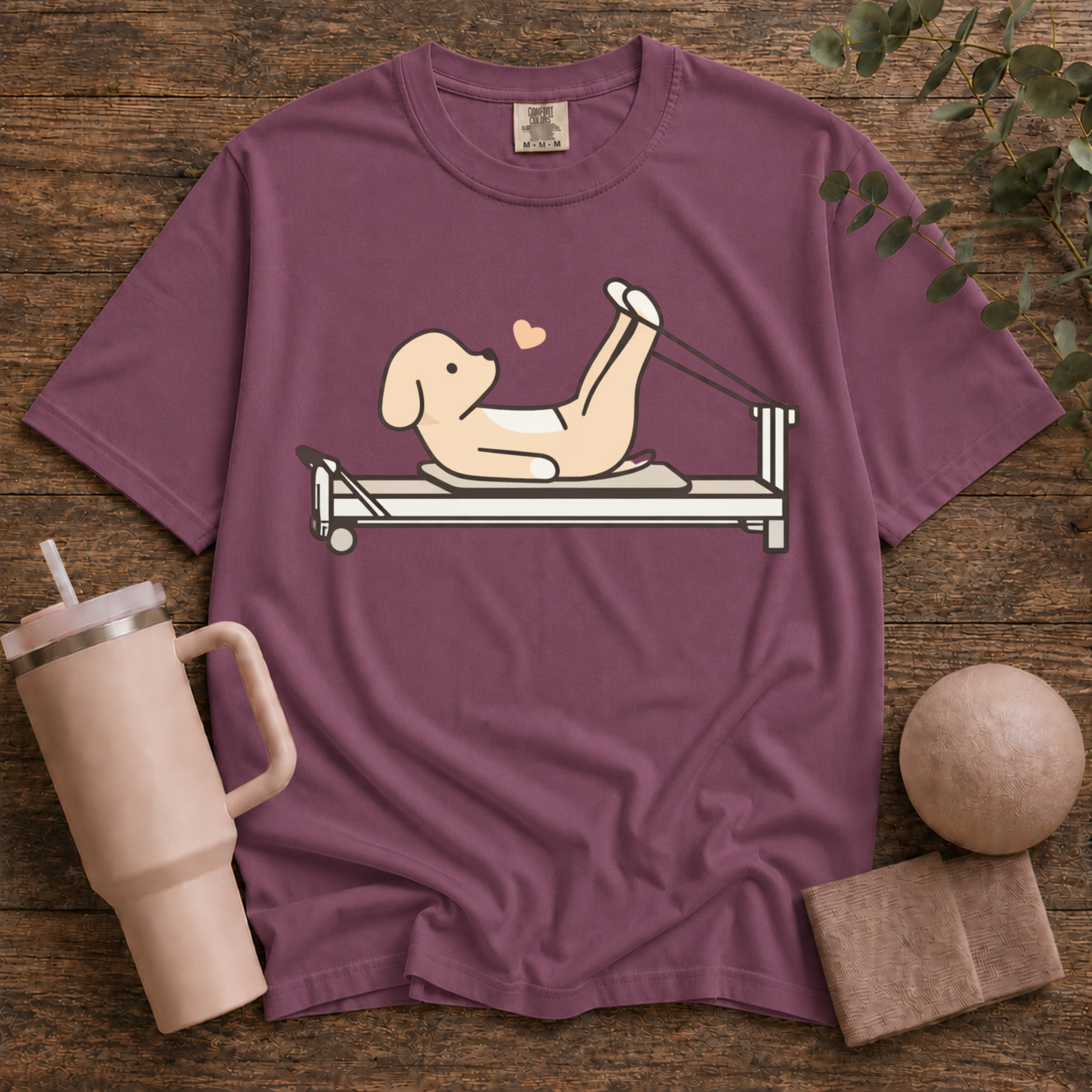 Pilates And Dog