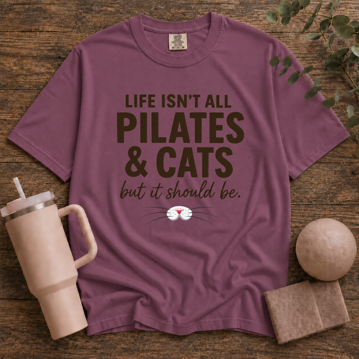 Pilates And Cats