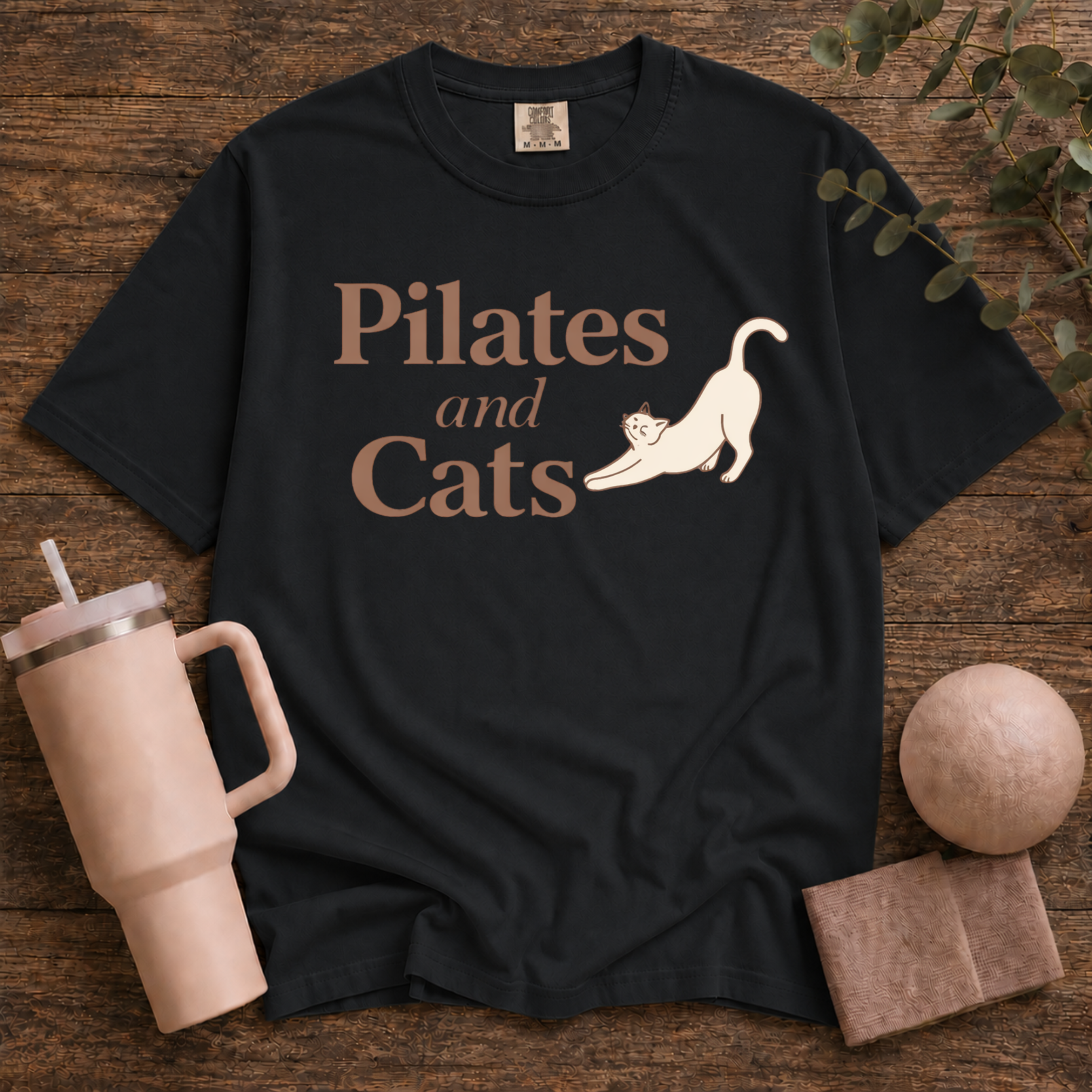 Pilates And Cats
