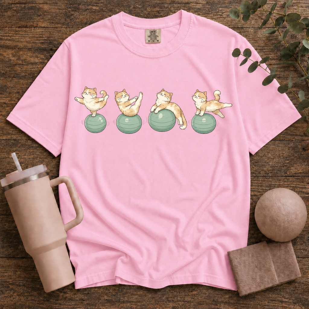 Pilates Ball and Cats