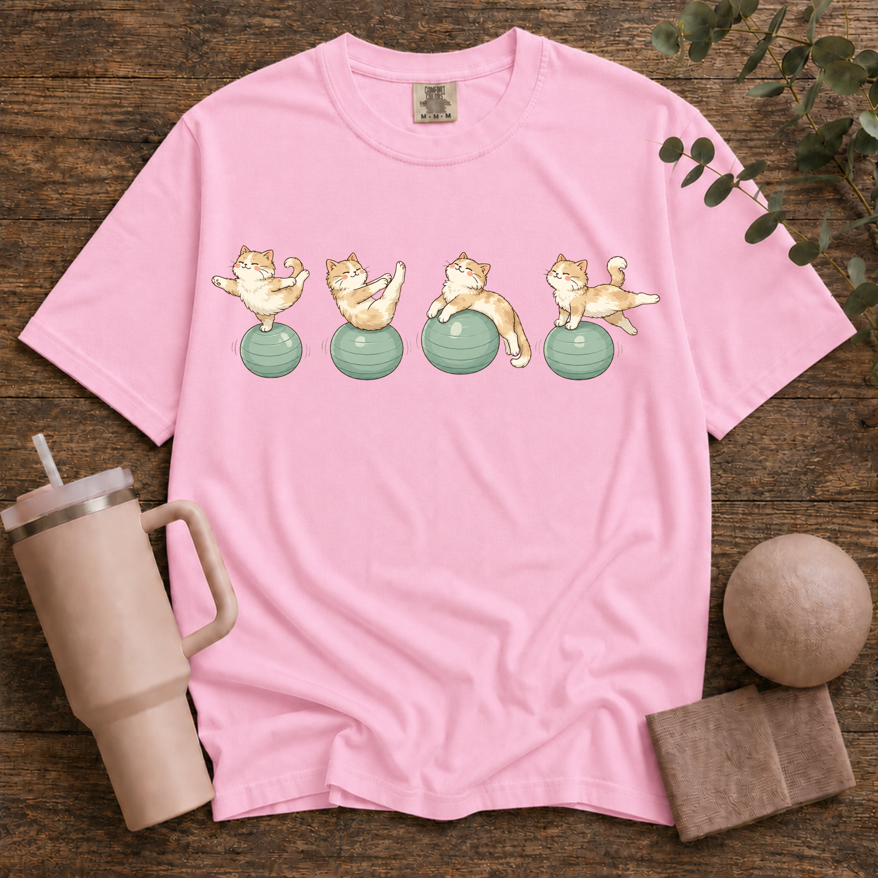 Pilates Ball and Cats