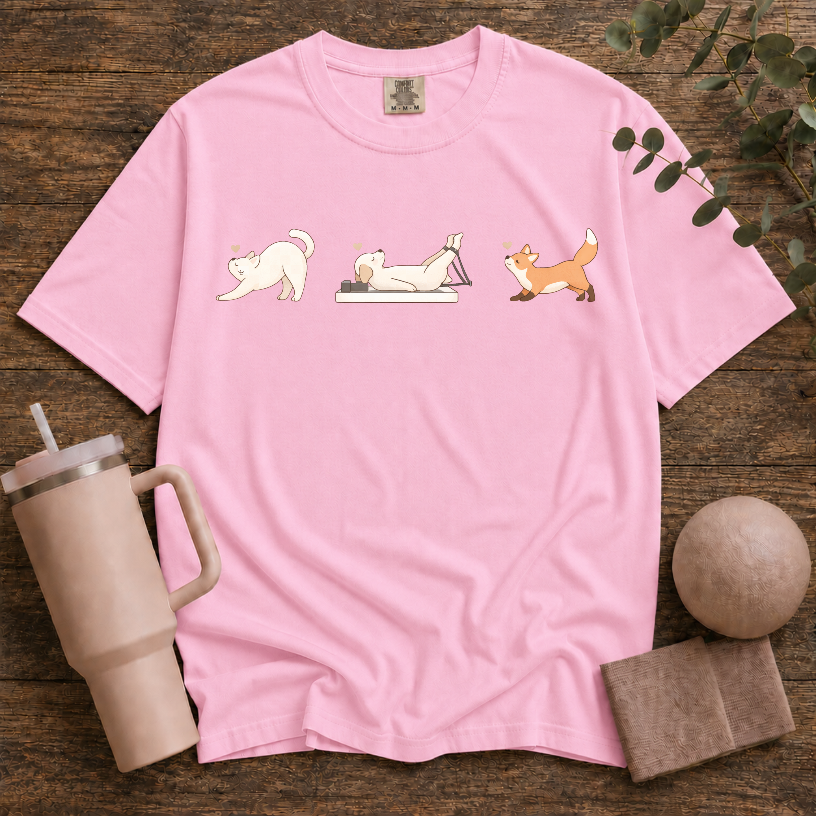 Animals Stretching
