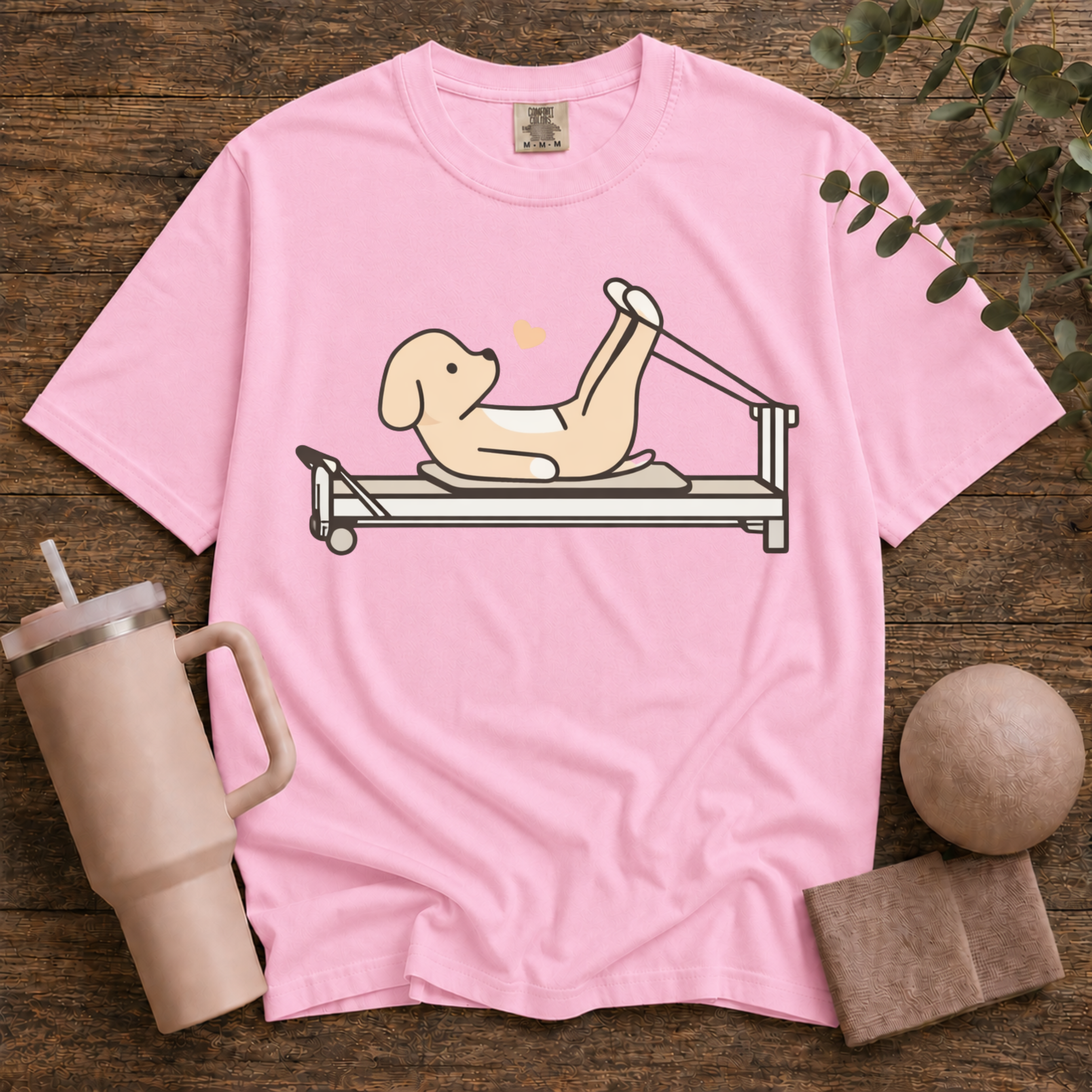 Pilates And Dog