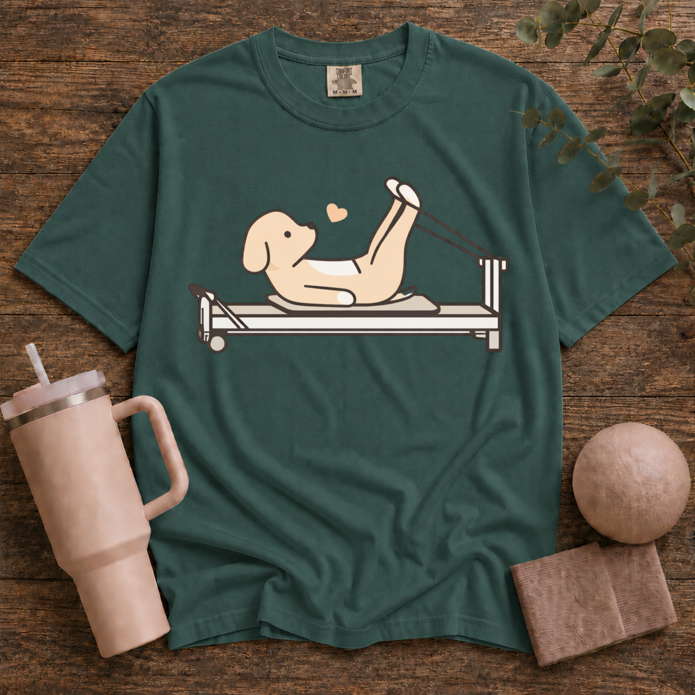 Pilates And Dog