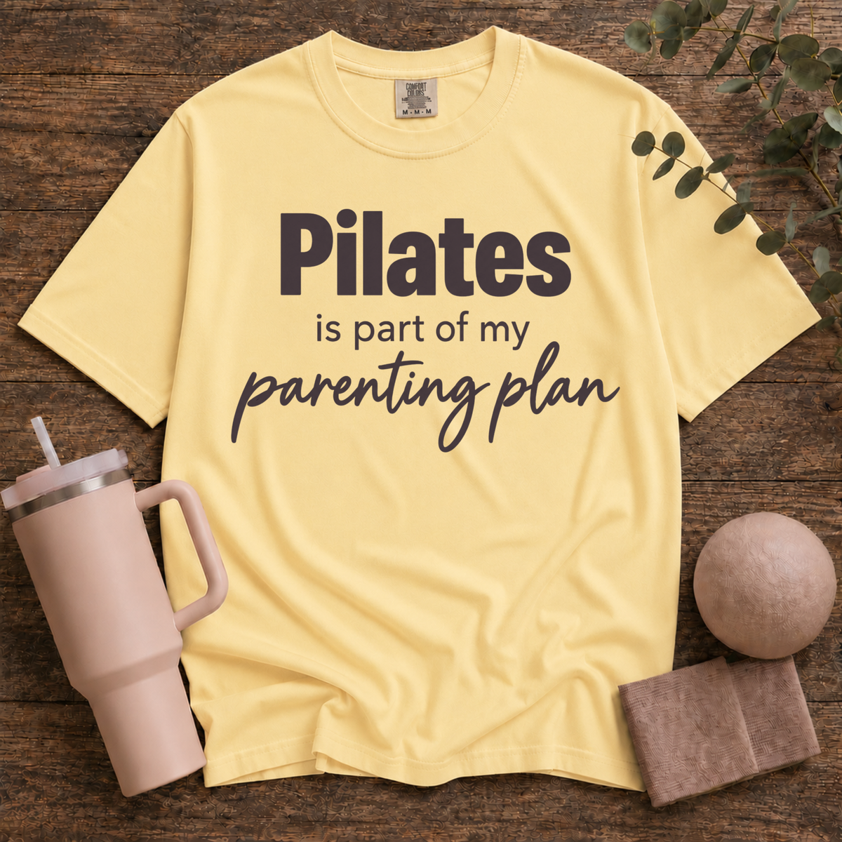 Parenting Plan