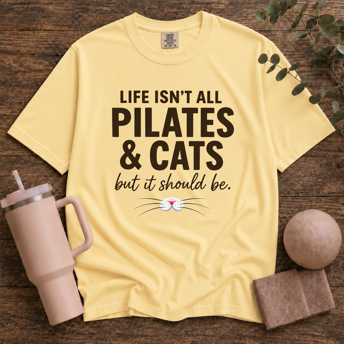 Pilates And Cats