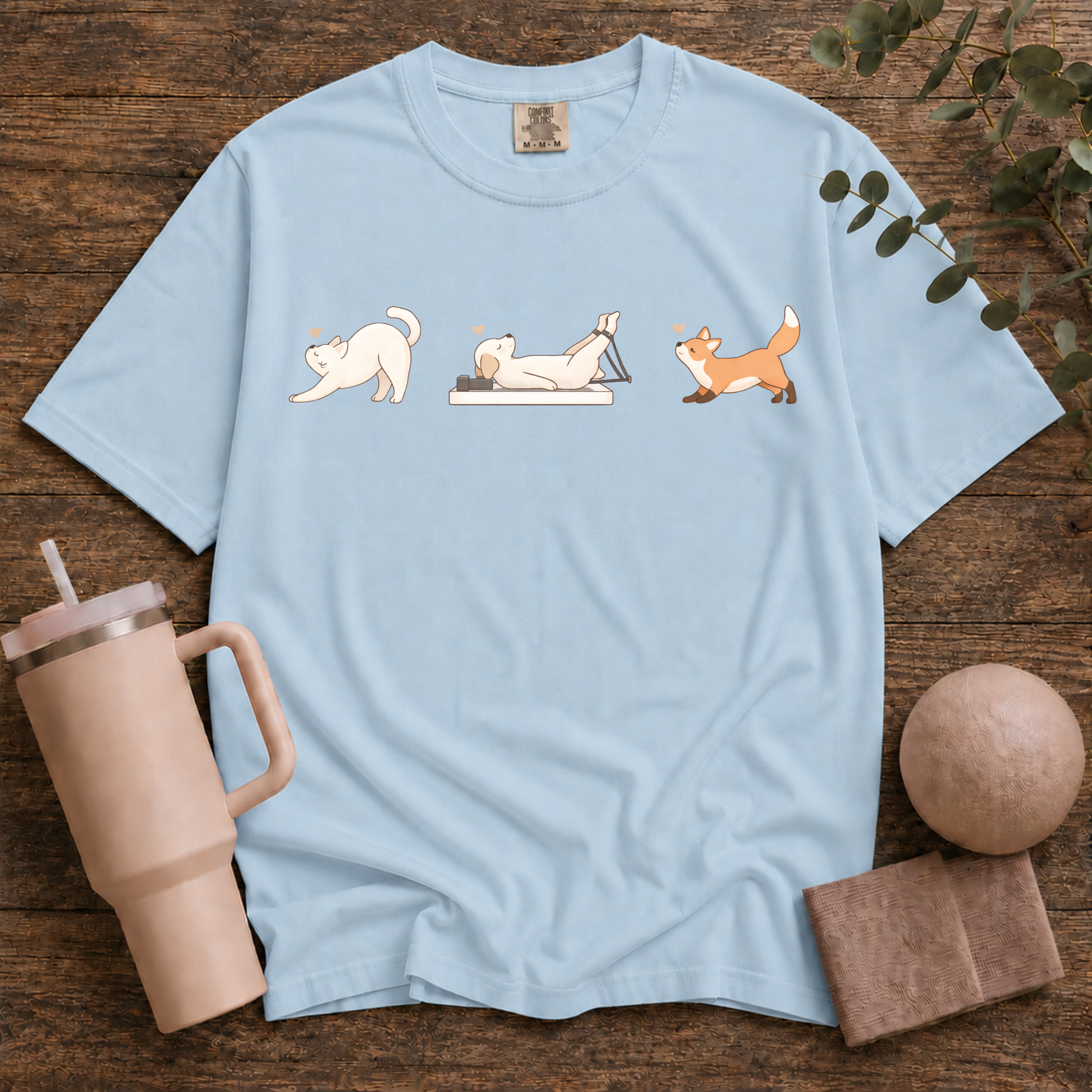 Animals Stretching