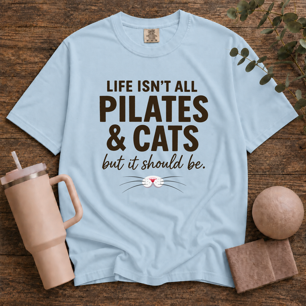 Pilates And Cats