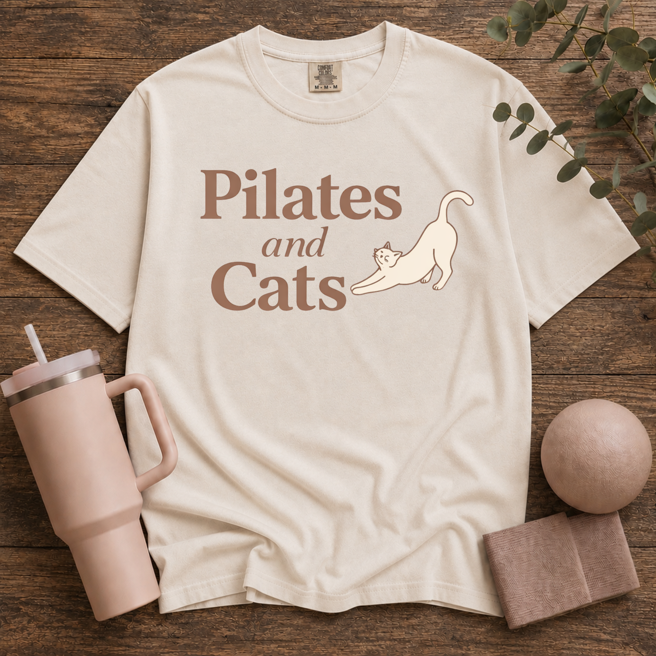 Pilates And Cats
