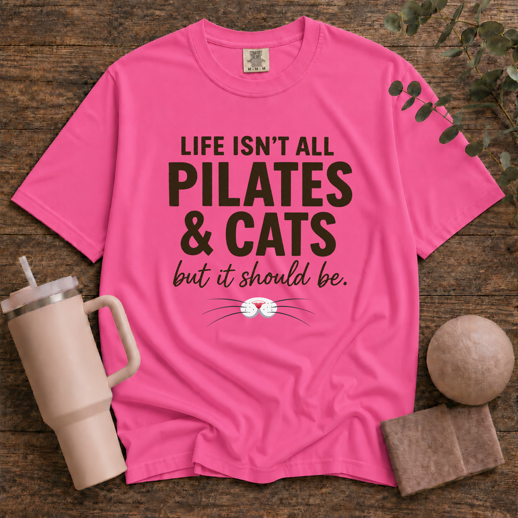 Pilates And Cats