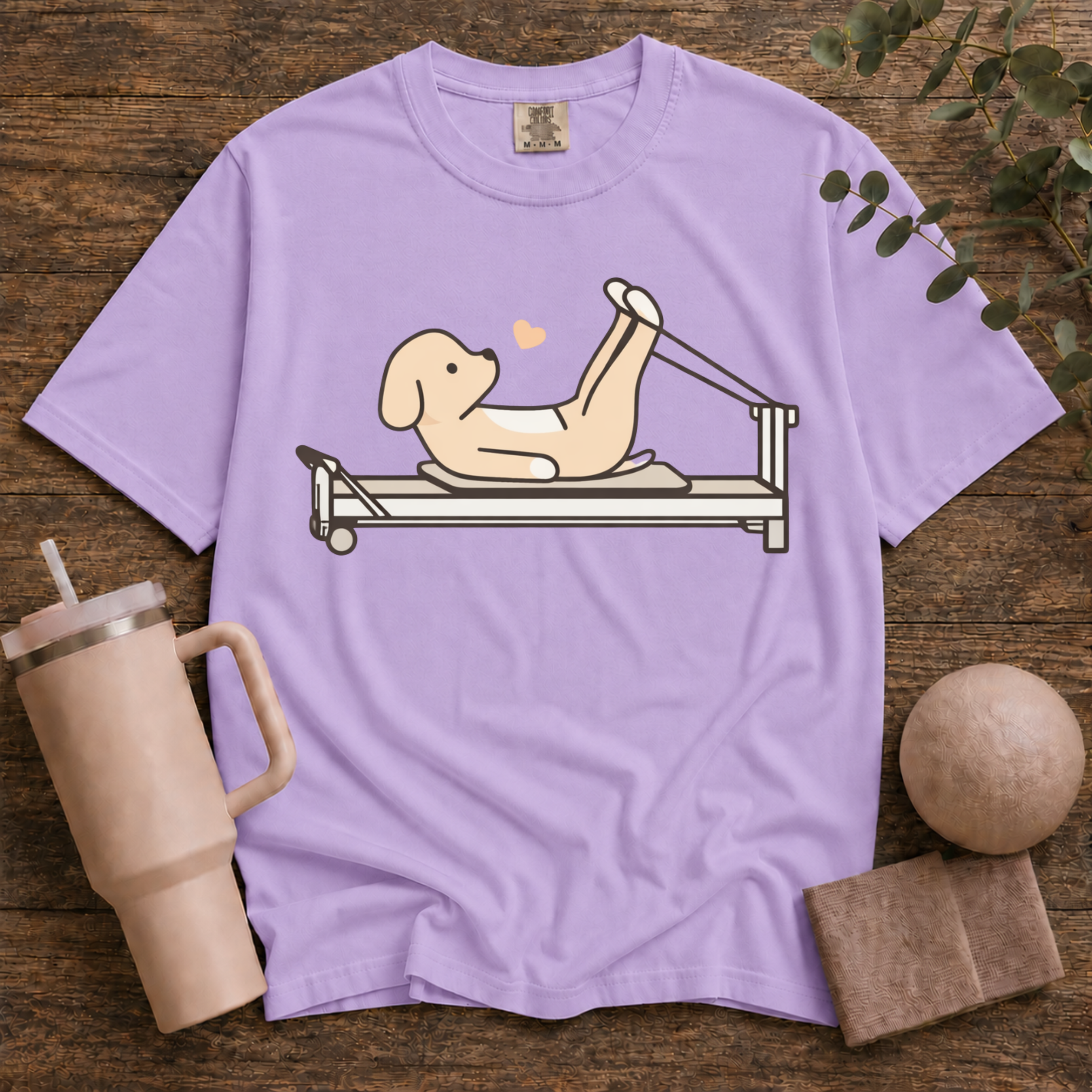 Pilates And Dog