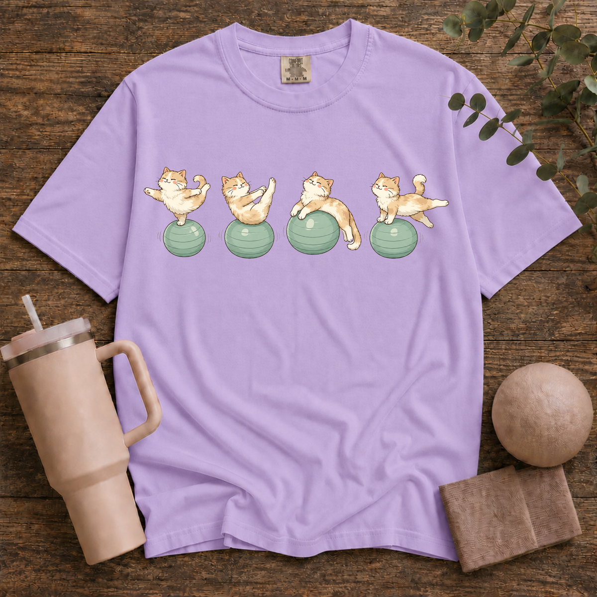 Pilates Ball and Cats