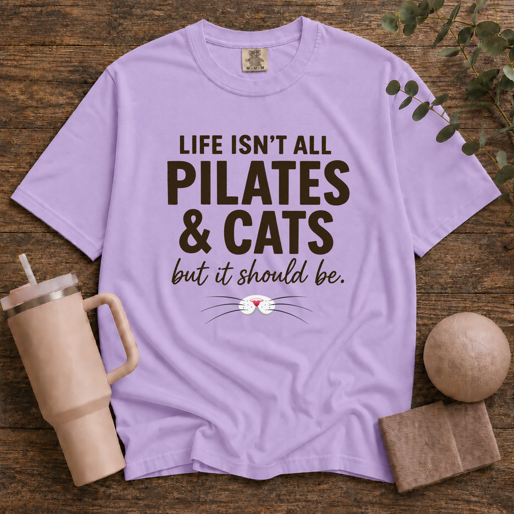 Pilates And Cats