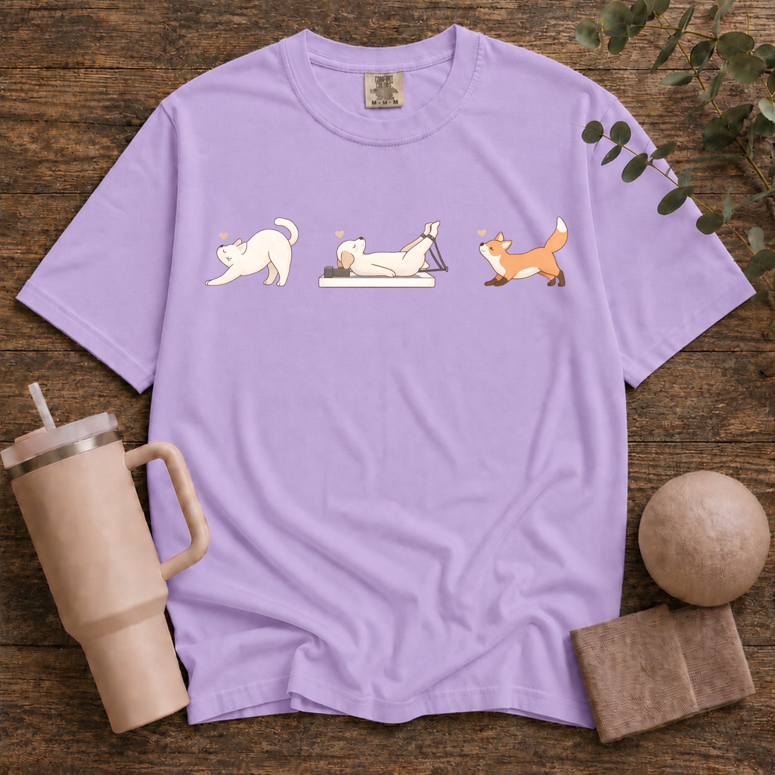 Animals Stretching