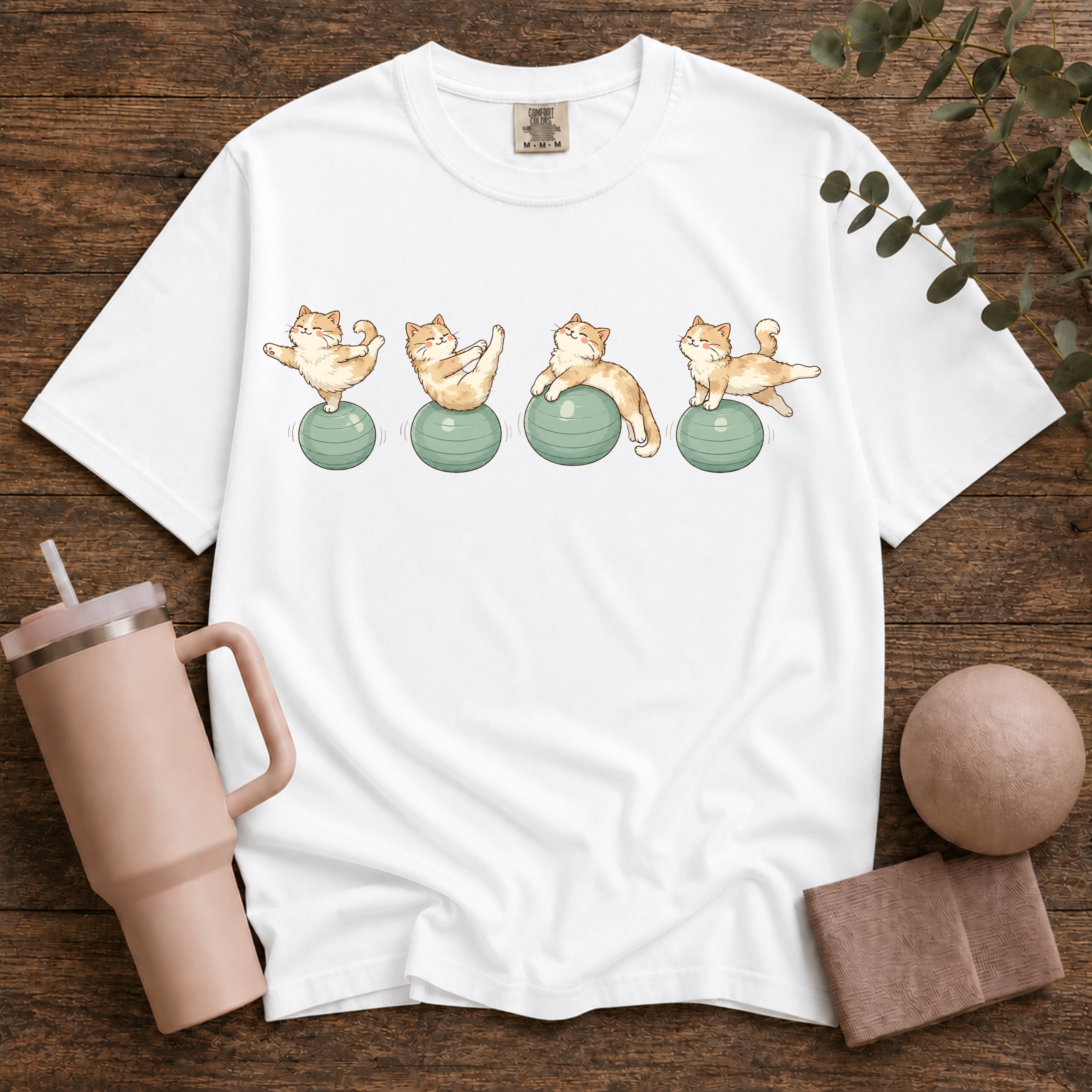 Pilates Ball and Cats