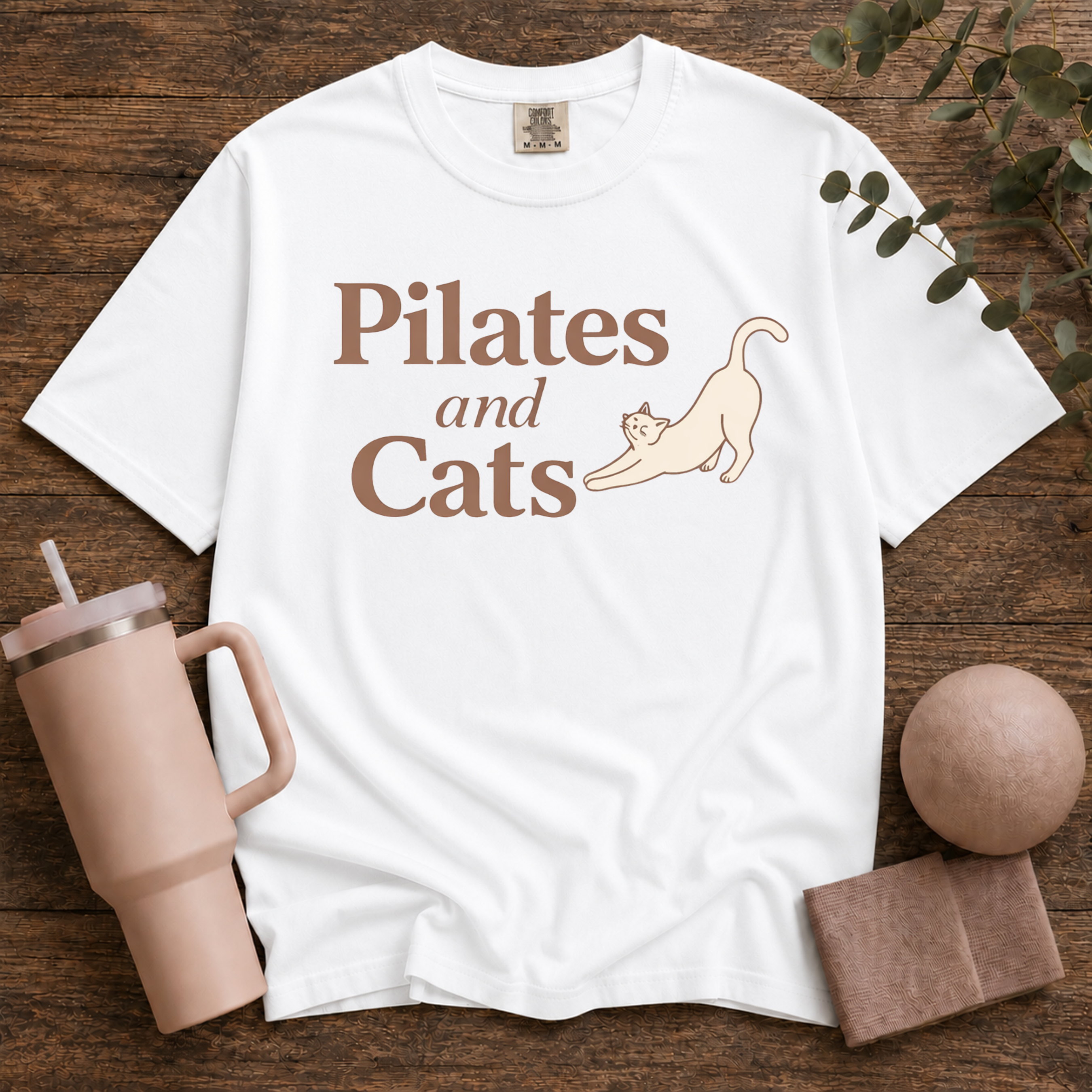 Pilates And Cats