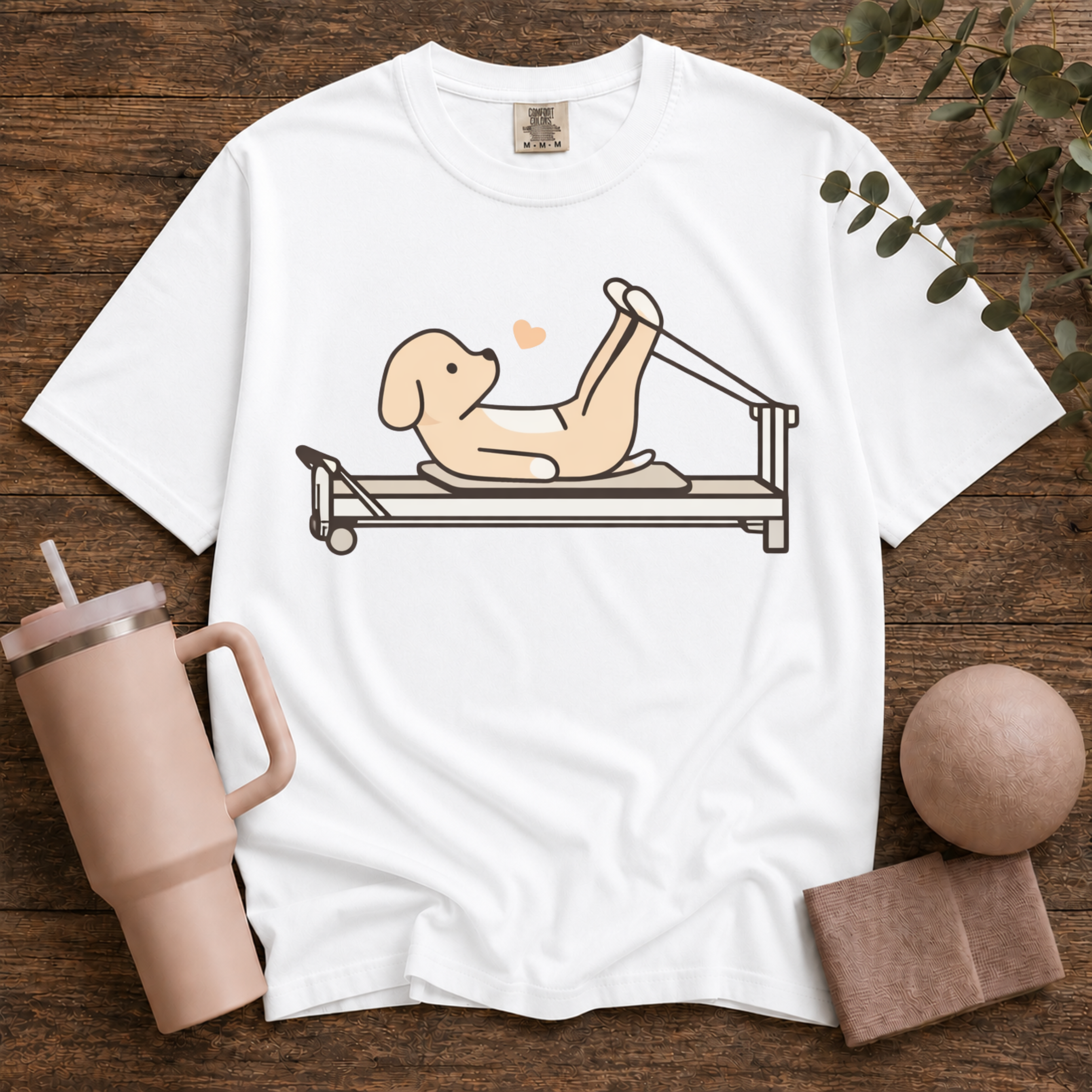 Pilates And Dog